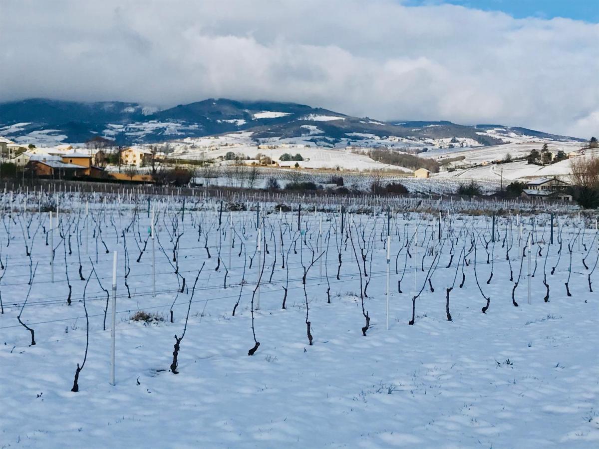 La Boheme, Gite De Charme Quincie-en-Beaujolais Luaran gambar