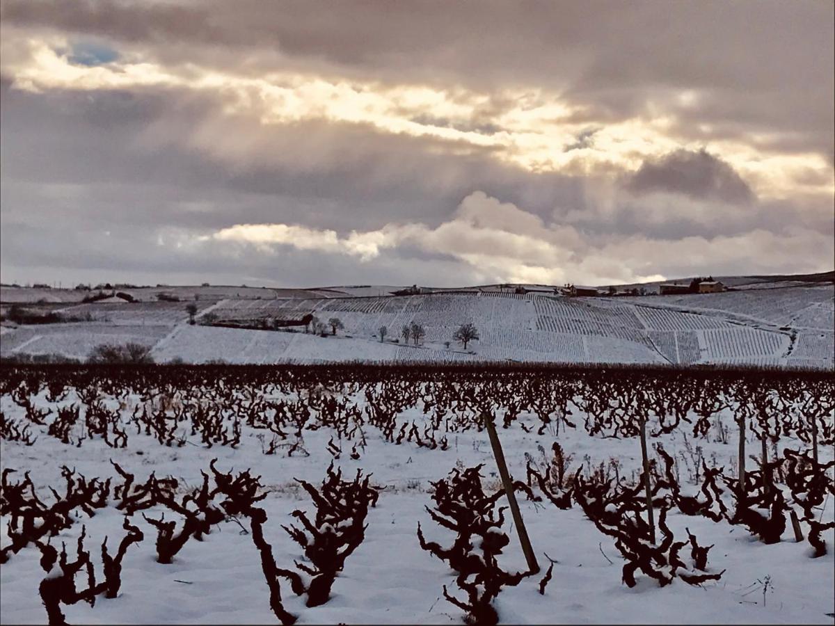 La Boheme, Gite De Charme Quincie-en-Beaujolais Luaran gambar